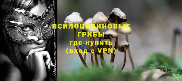 гашиш Магас