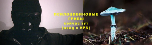 метадон Медногорск
