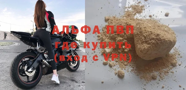 молекула духа Магадан
