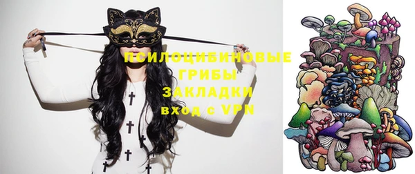 стаф Медвежьегорск