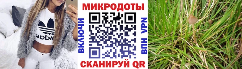 Галлюциногенные грибы мицелий  Уржум 